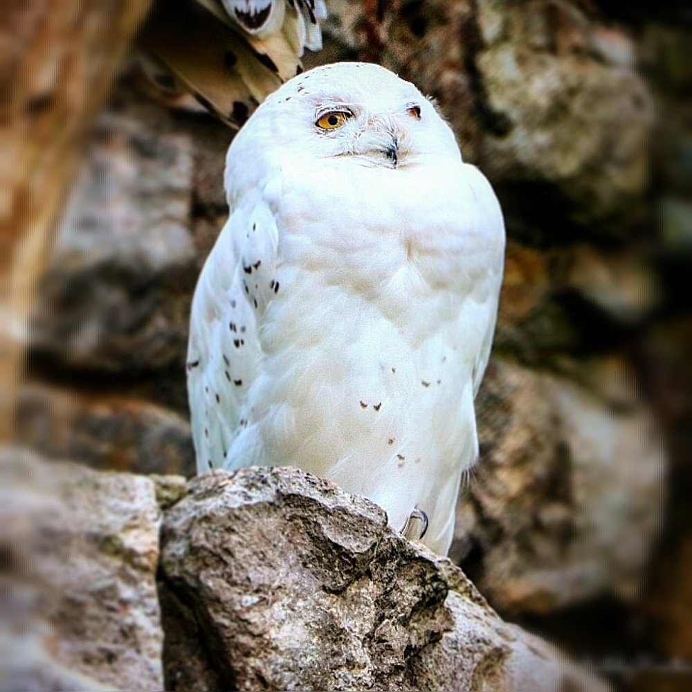 Photograph by Анатолий Касатов