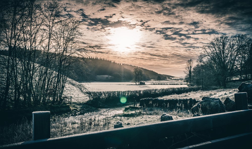 Photograph by P Solo