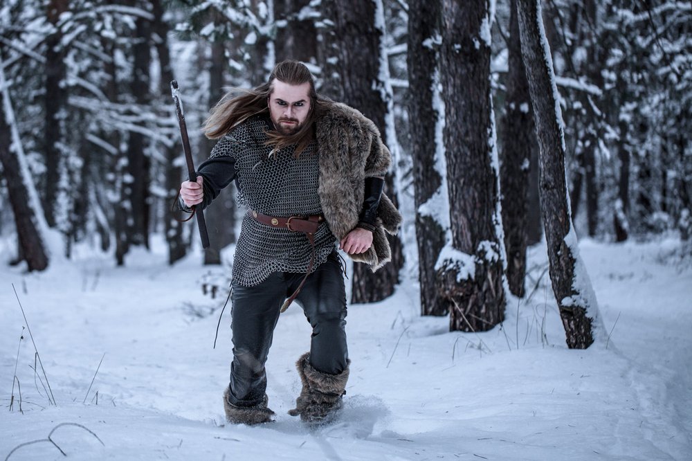 История Викинга