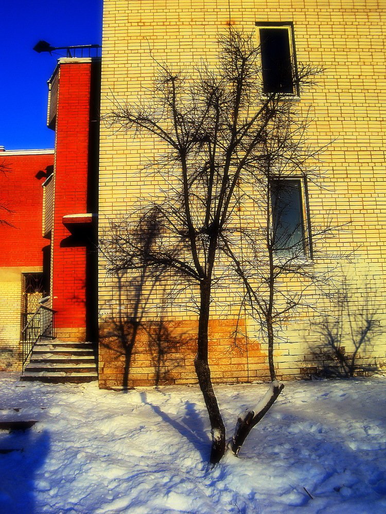 Photograph by Галина Гончарова