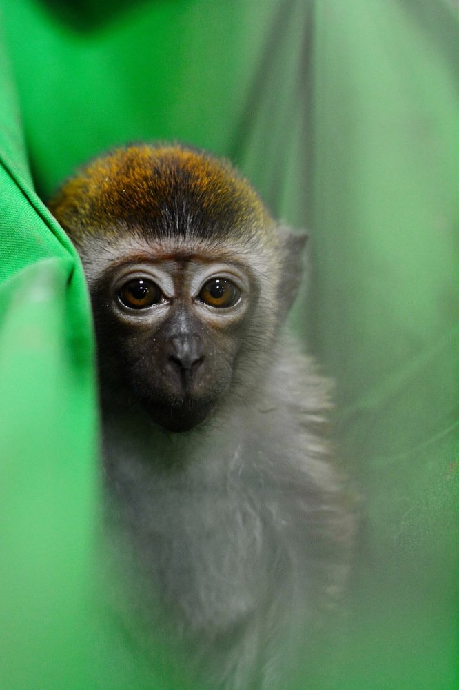 Photograph by Юлия Подлеснова