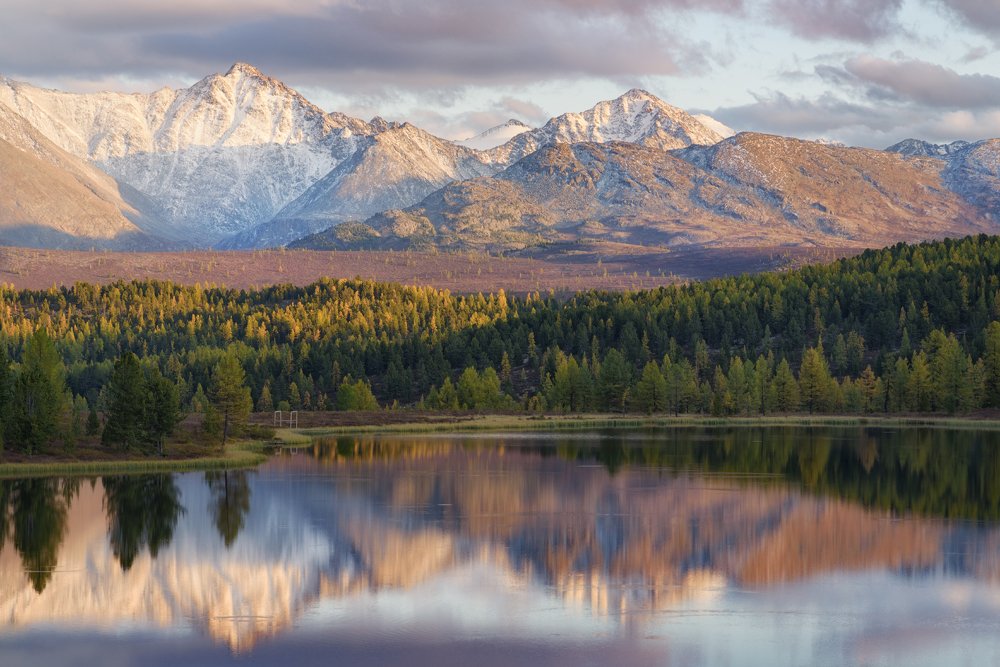 Отражения Киделю