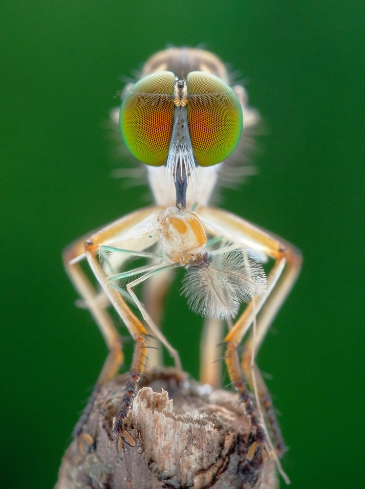 Photograph by Chuah Christopher