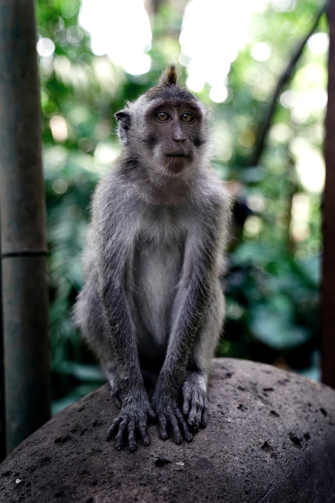 Photograph by Денис