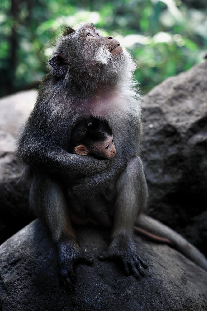 Photograph by Денис