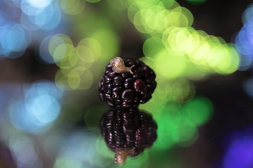 Photograph by Екатерина Вивюрская