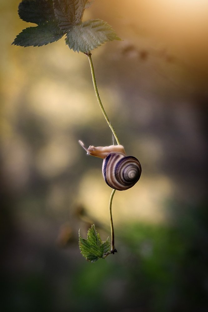 Вперед к солнцу, вперед к свету...