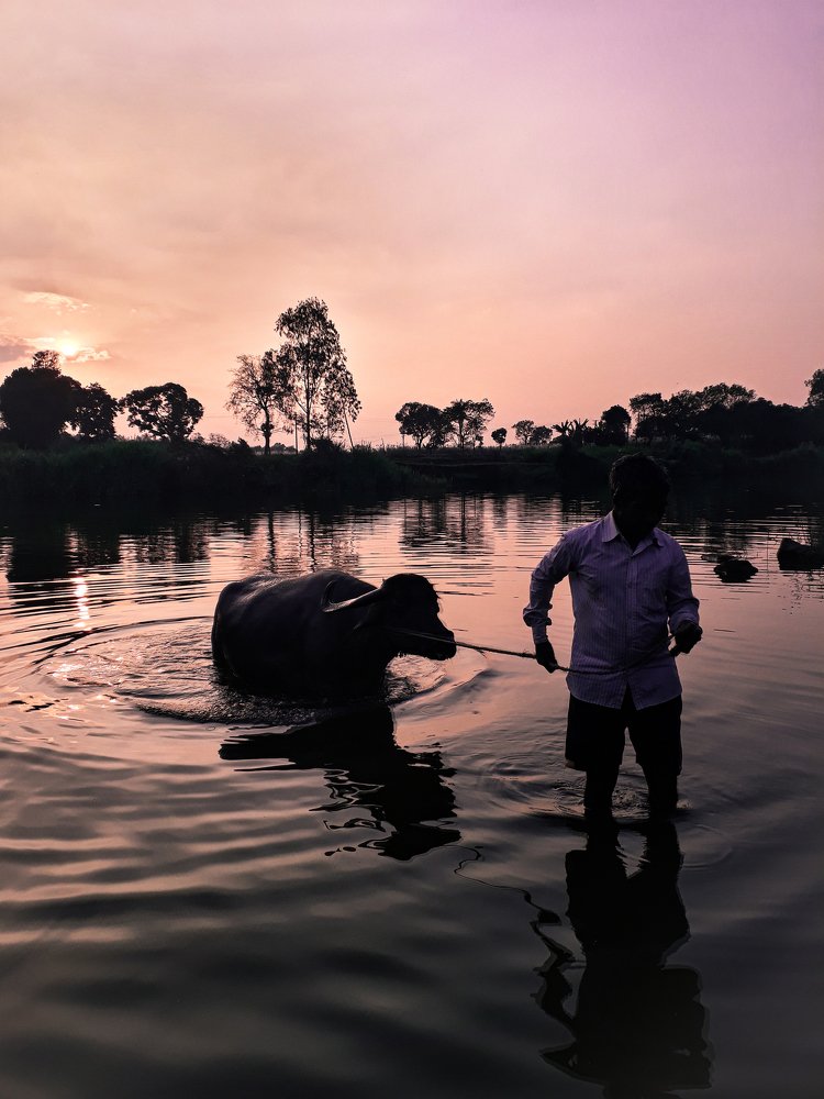 Photograph by Manvendra Powar