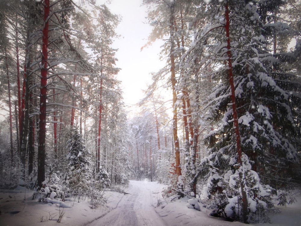 Photograph by Ирина