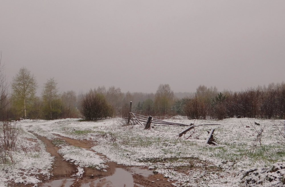 Photograph by Ирина