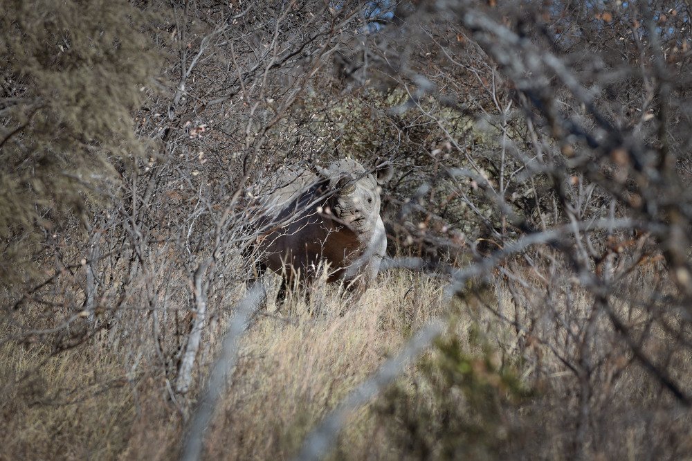Давайте познакомимся.