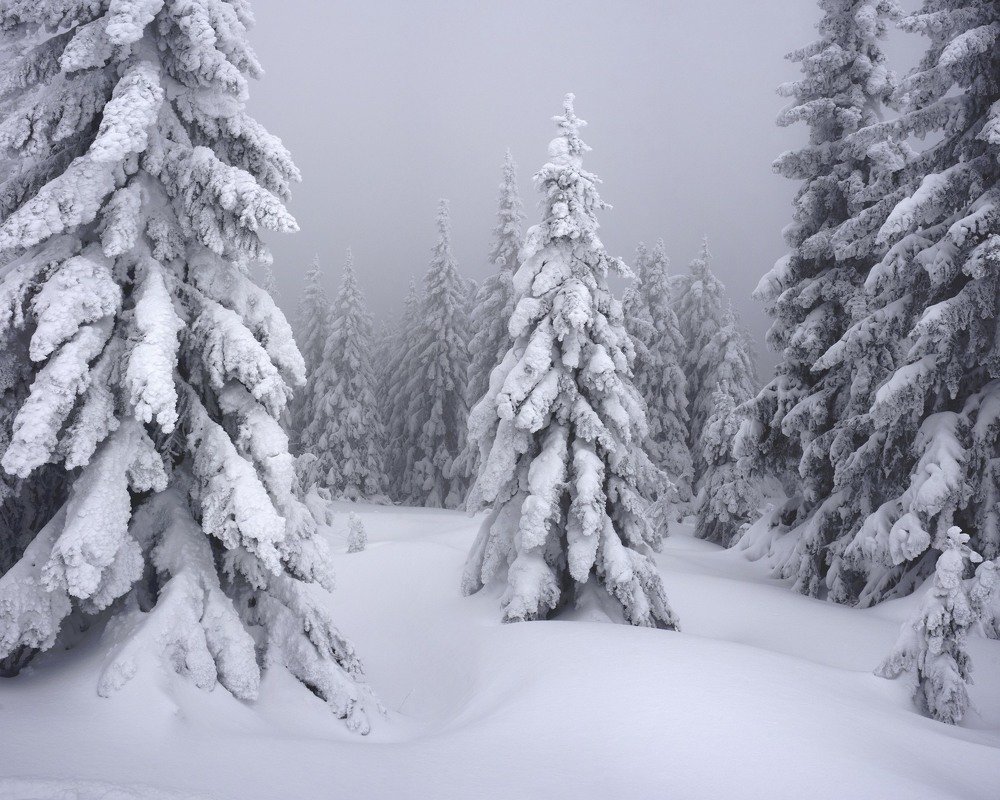 Photograph by Павел Фёдоров