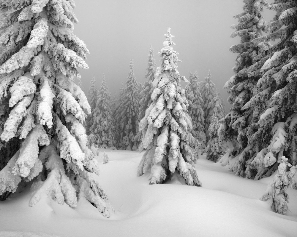 Photograph by Павел Фёдоров