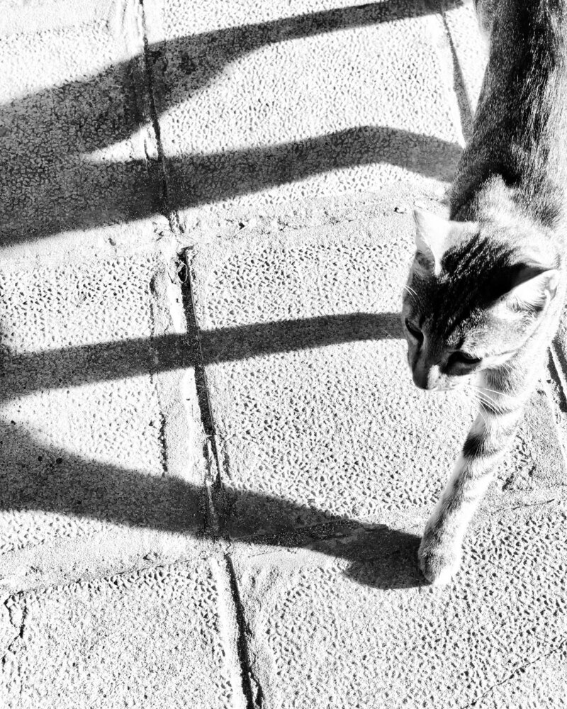 Photograph by Ольга Харлан