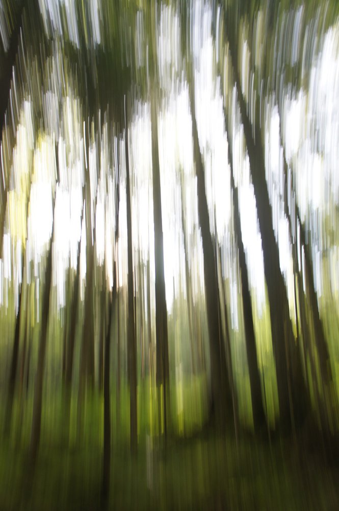 Photograph by Виталий Ракитин