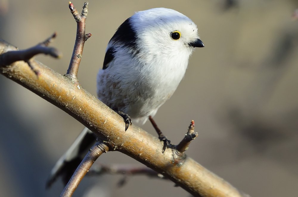 Photograph by Вячеслав Ладанов