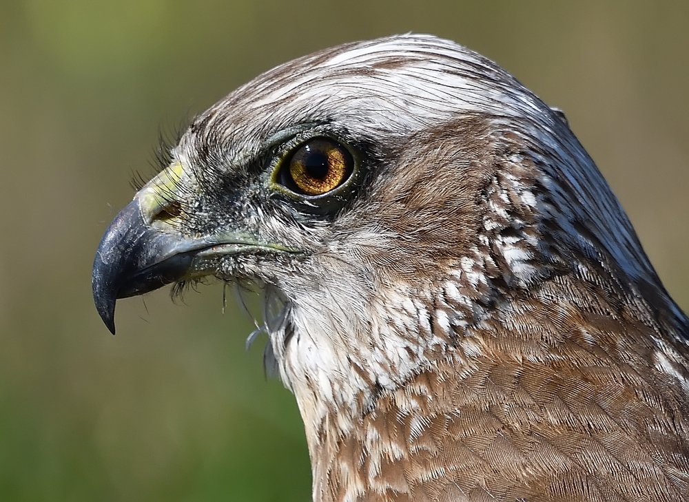 Photograph by Вячеслав Ладанов