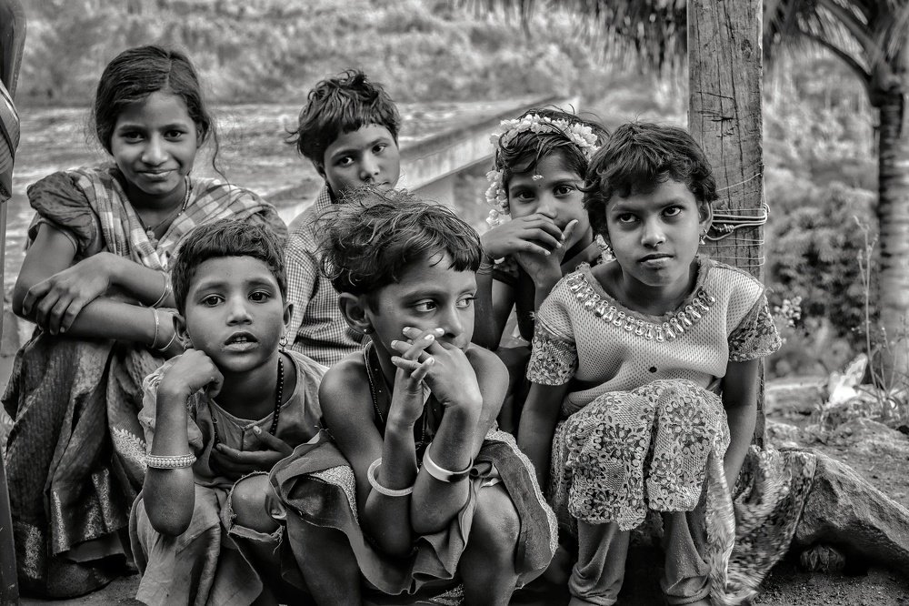 Photograph by John britto