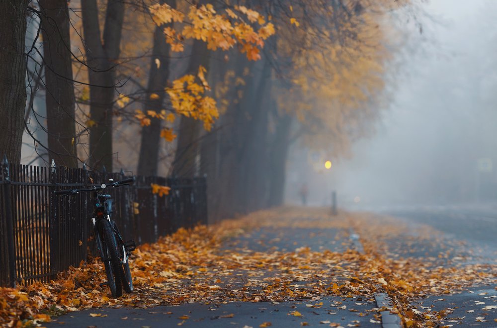 Photograph by Таня SHE (Aiya)