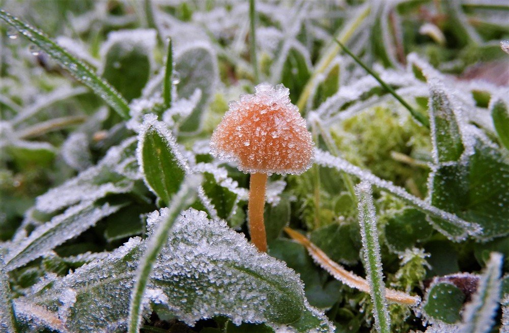 Photograph by Irina Weber