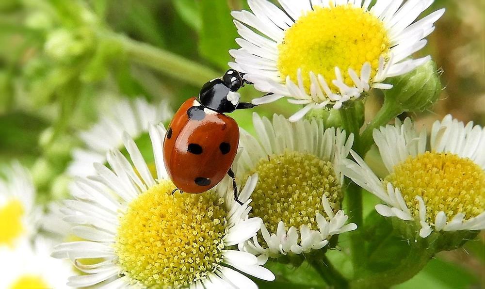 Photograph by Irina Weber