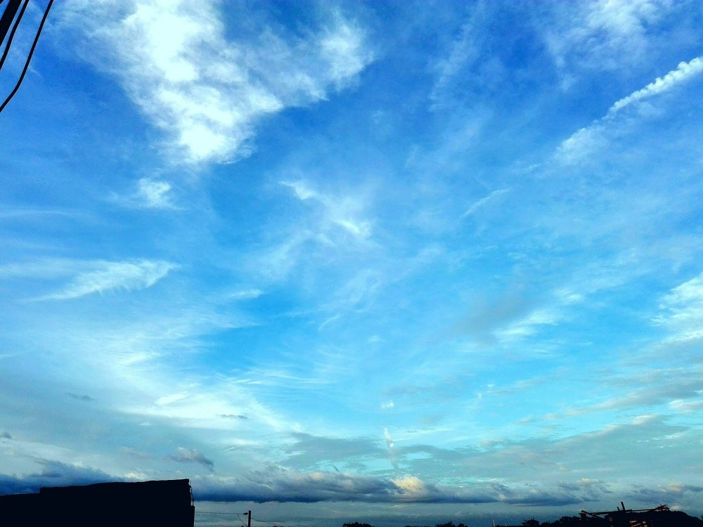 Photo #4207336
