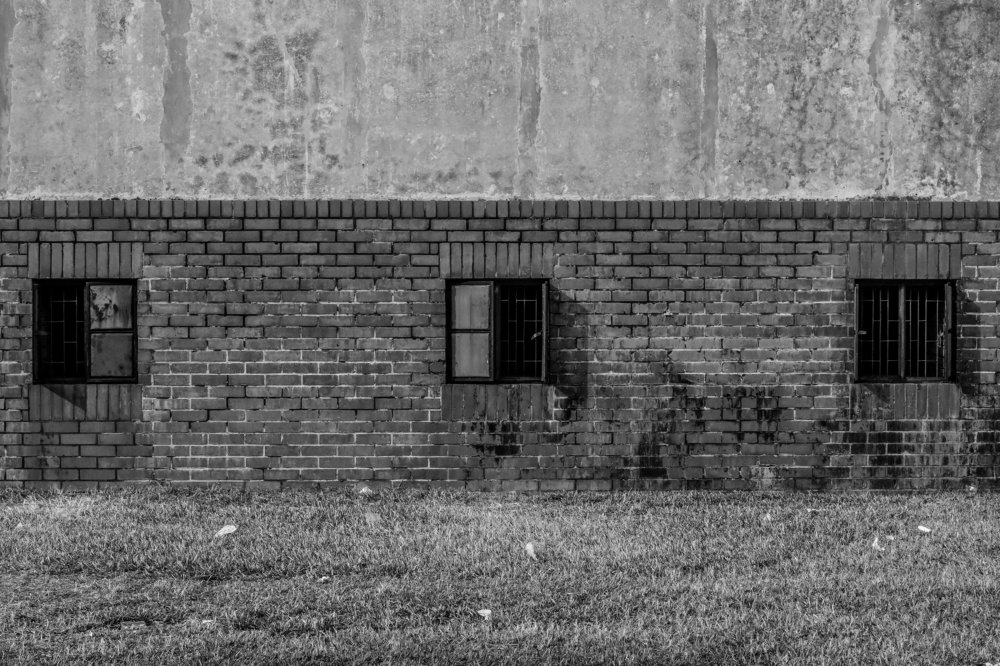 Photograph by Md. Yasin Khan