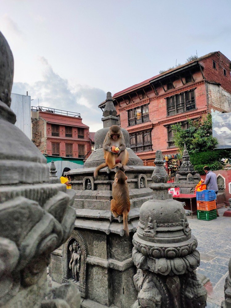 Фотография автора Uttam Rimal