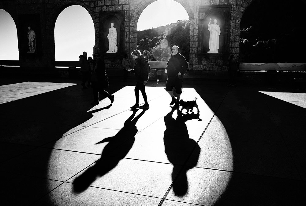 Photograph by Наталья Суслова