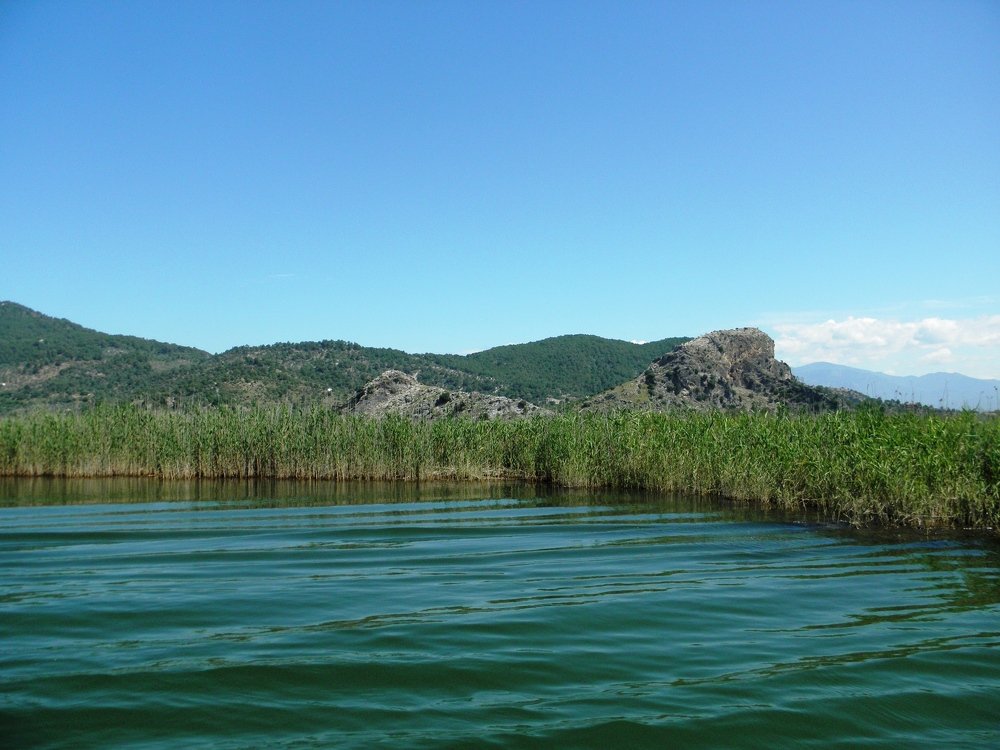 Photograph by Елена Коробкина