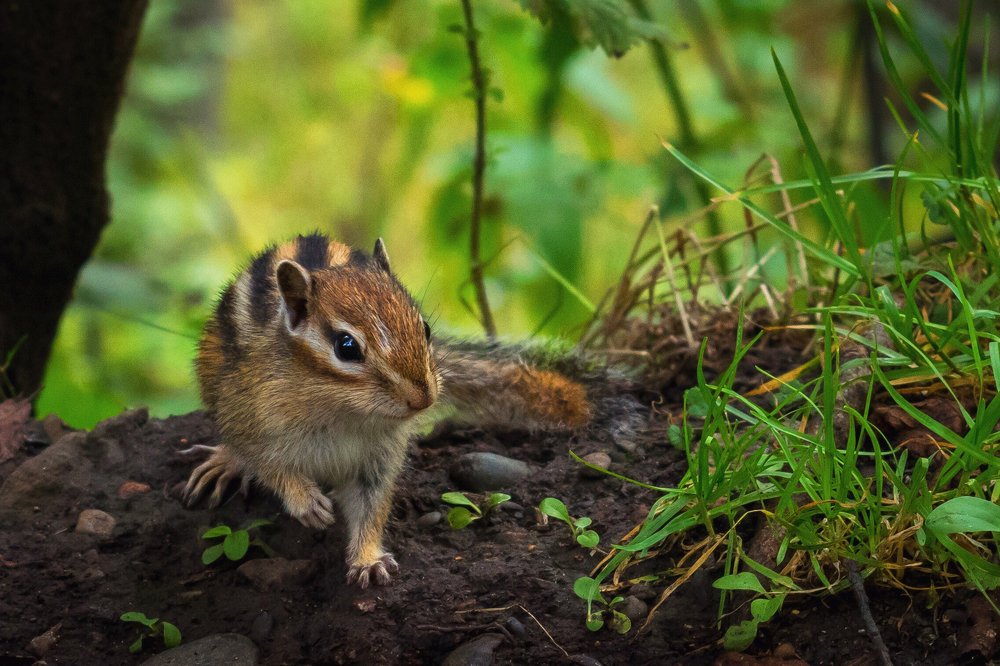 Photograph by Екатерина Назарова