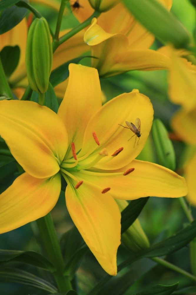 Photograph by Алина Зайцева