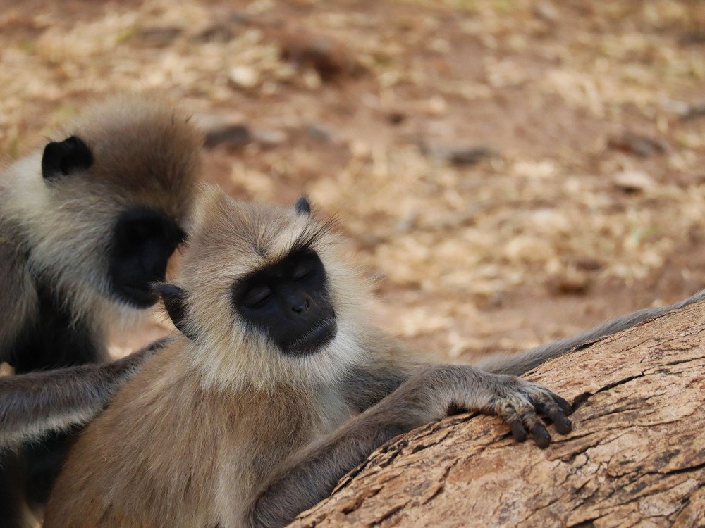 Photograph by Дарья Попова