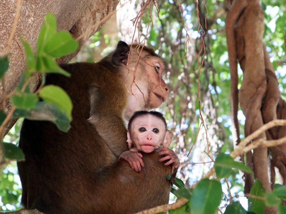 Photograph by Дарья Попова