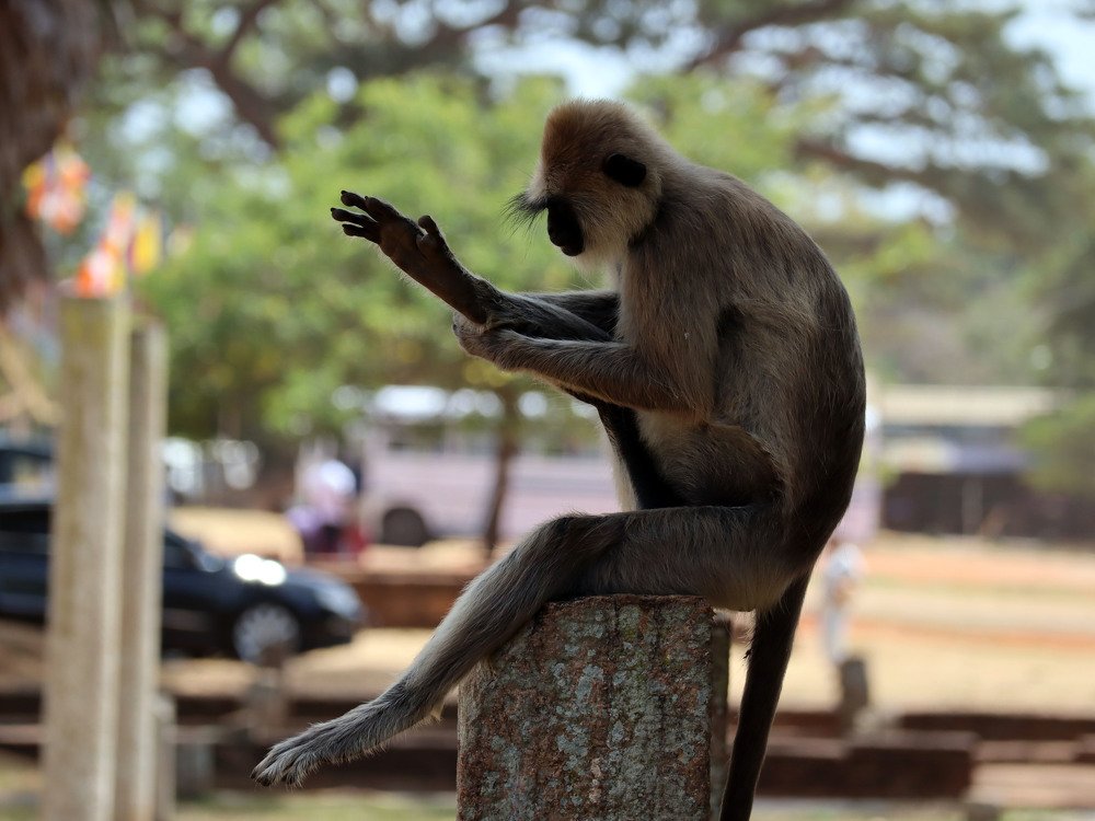 Photograph by Дарья Попова