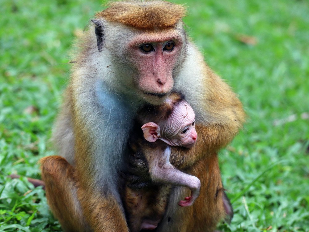 Photograph by Дарья Попова