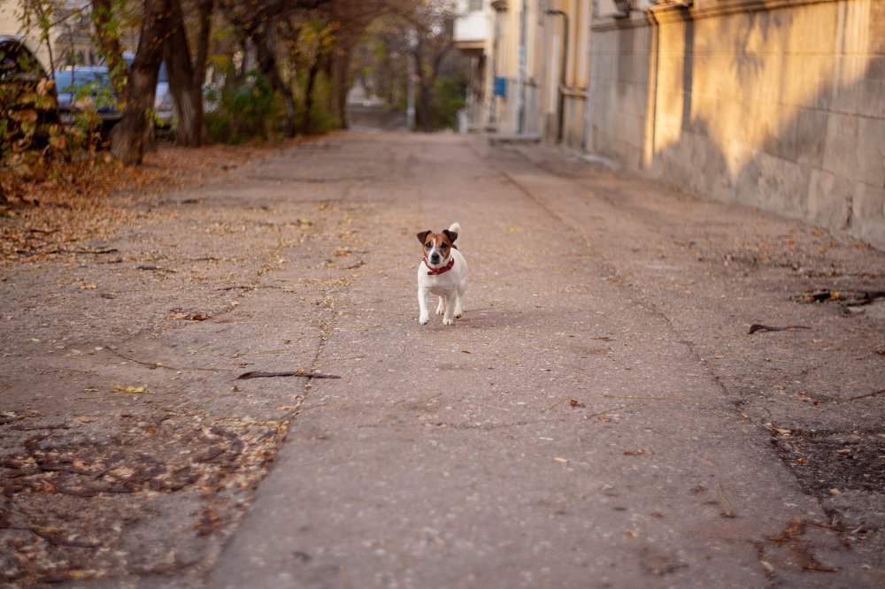 Photograph by Vladimir Soroka