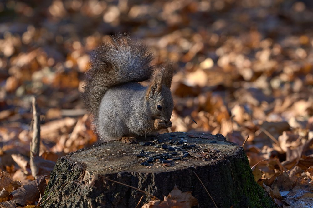 Photograph by Владимир