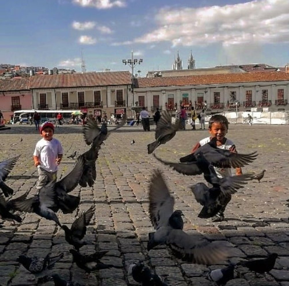 A volar...