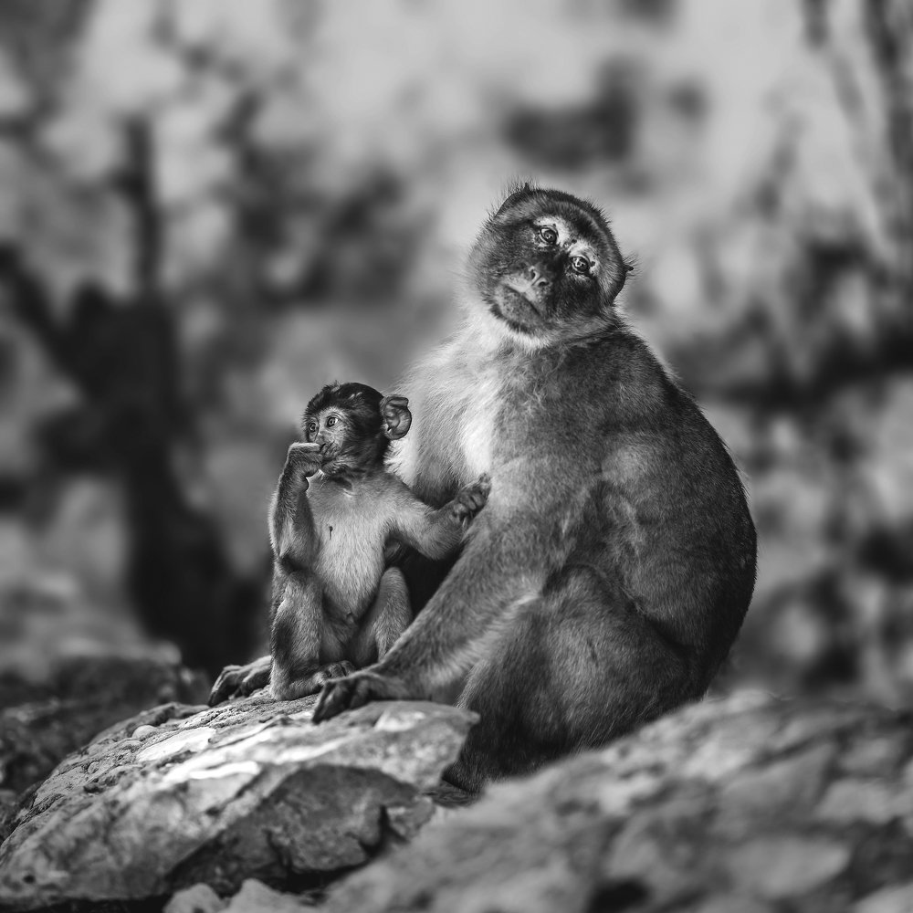 Photograph by Cayetana Saiz