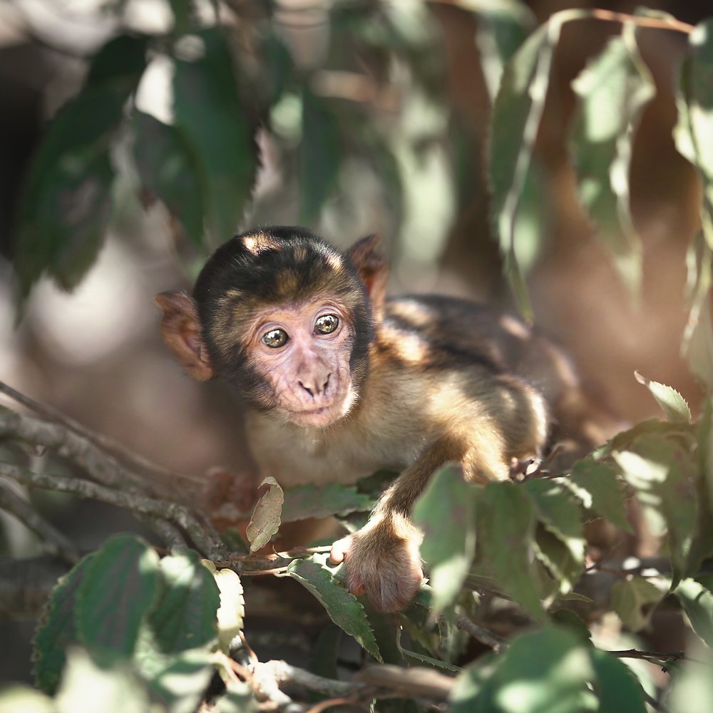 Photograph by Cayetana Saiz