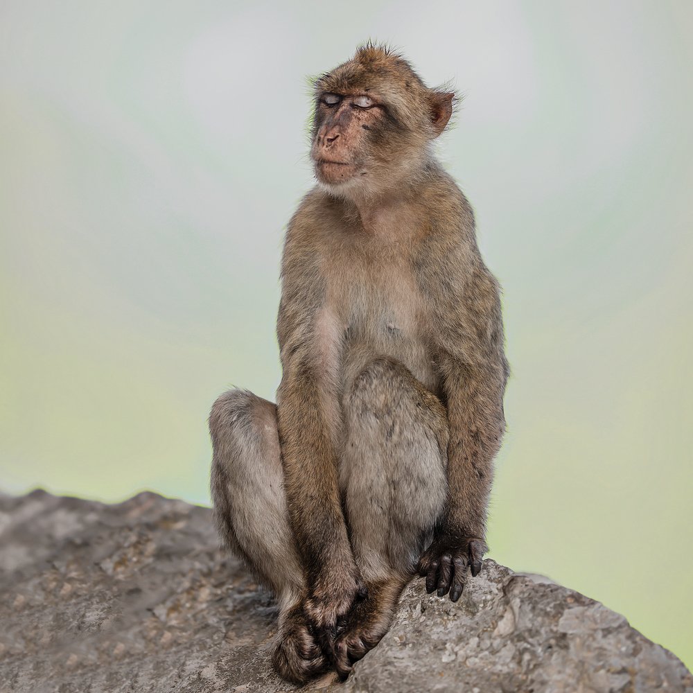 Photograph by Cayetana Saiz