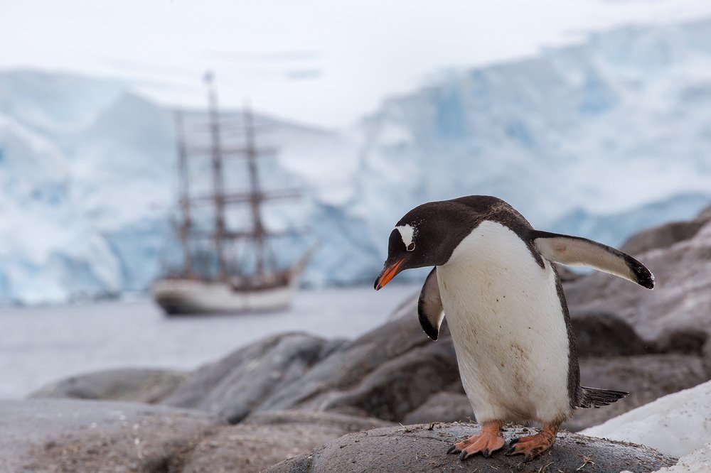 Photograph by Виктория