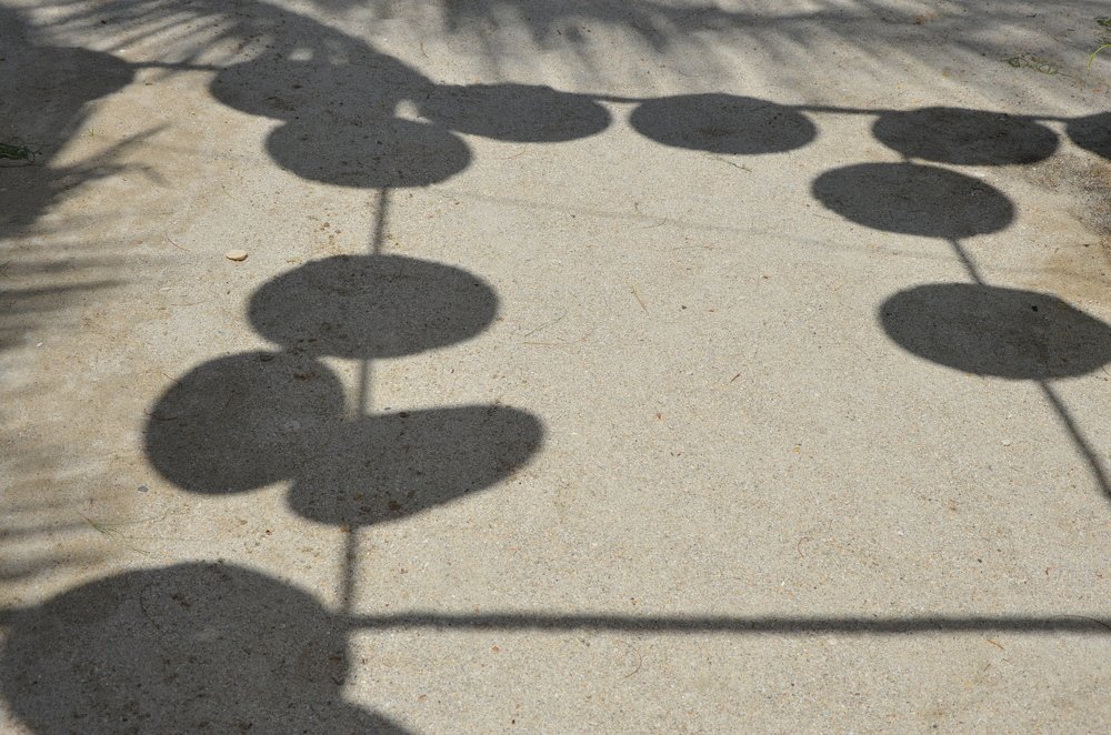 Photograph by Людмила Воропаева