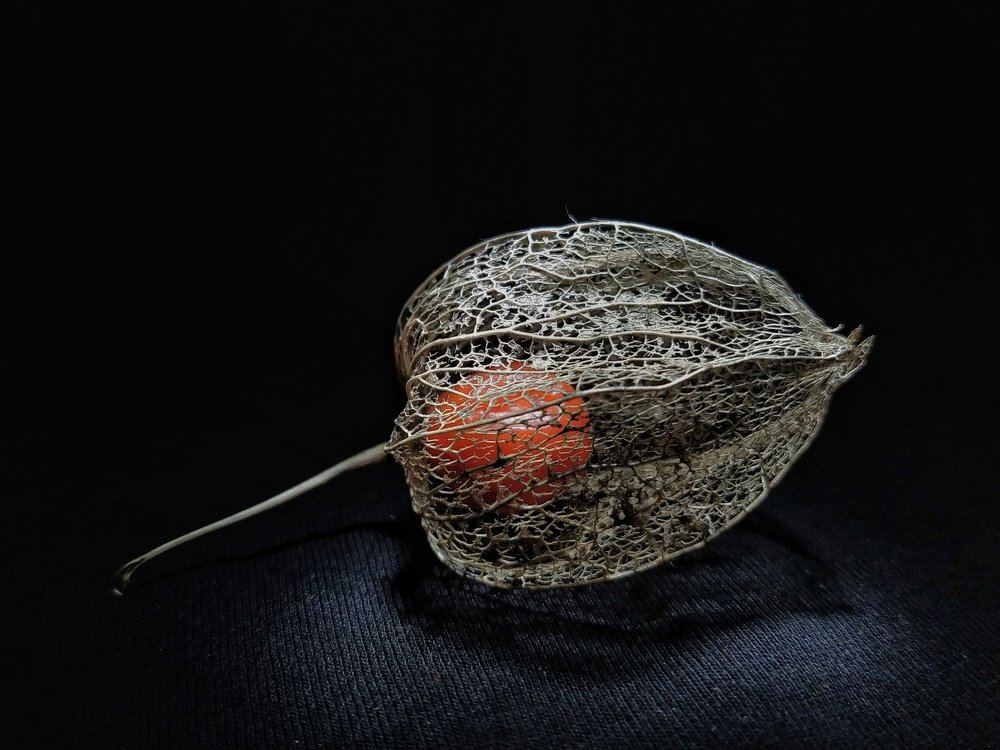 Самоизоляция - клетка