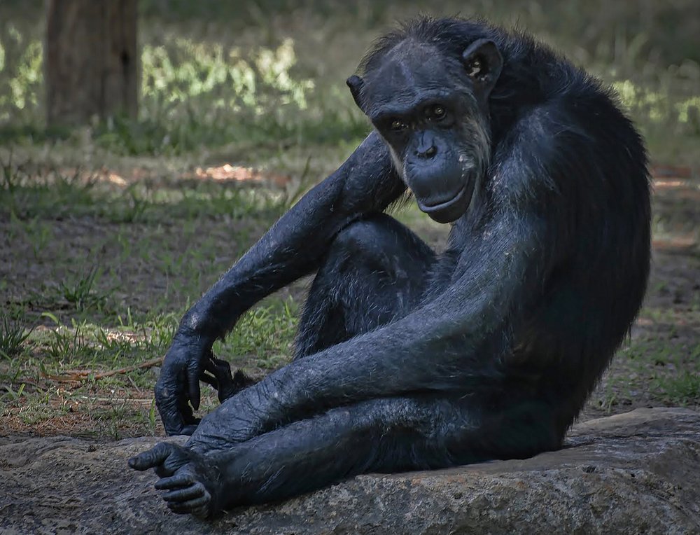 Photograph by Владислав Айзенберг
