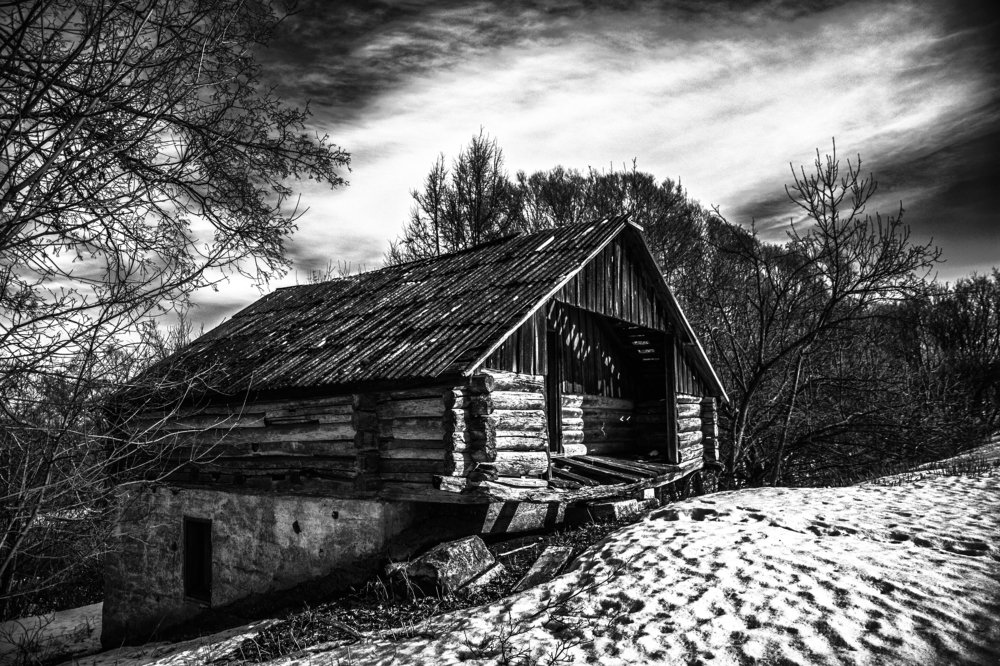 Photograph by Геннадий Сажин