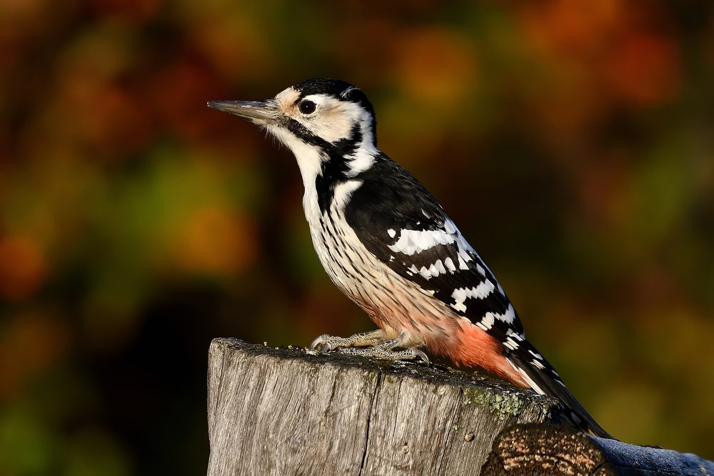 Photograph by Вячеслав Ладанов