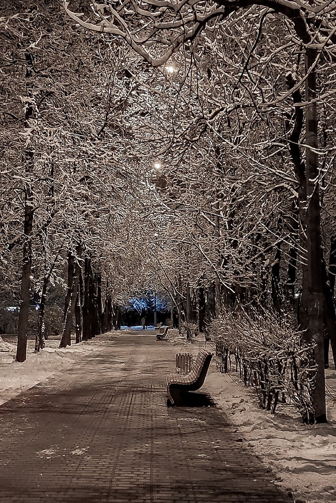 Фотография автора Вера Бокарева