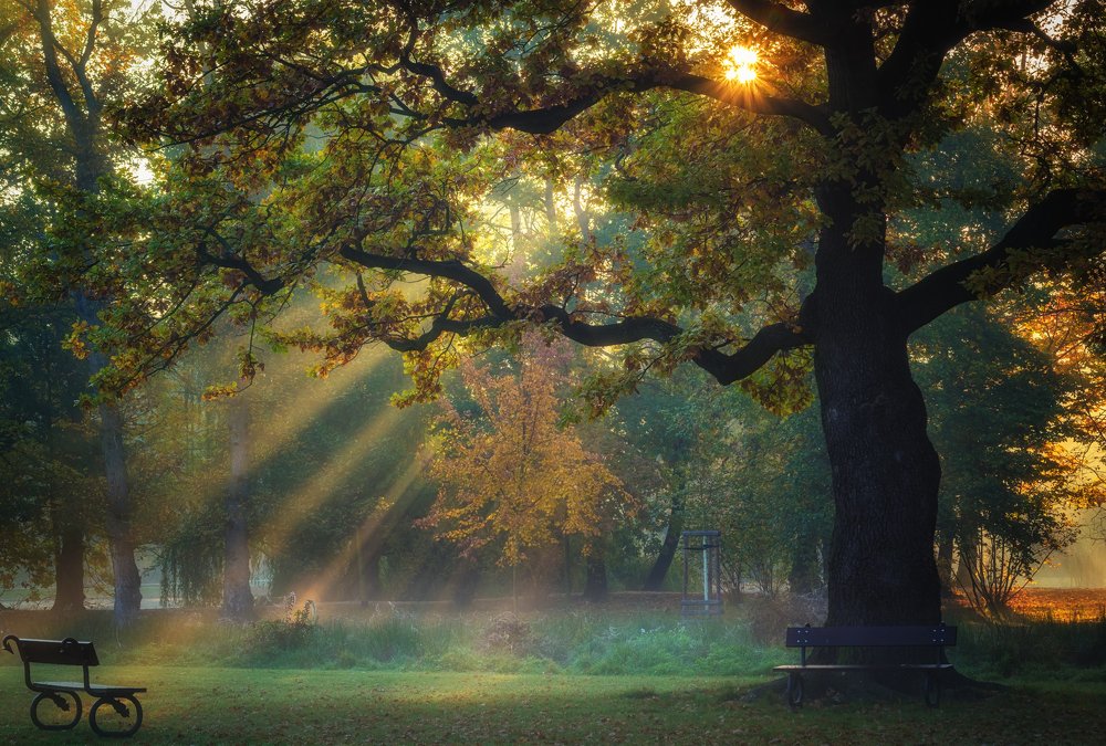 Photograph by Андрей Ожерельев